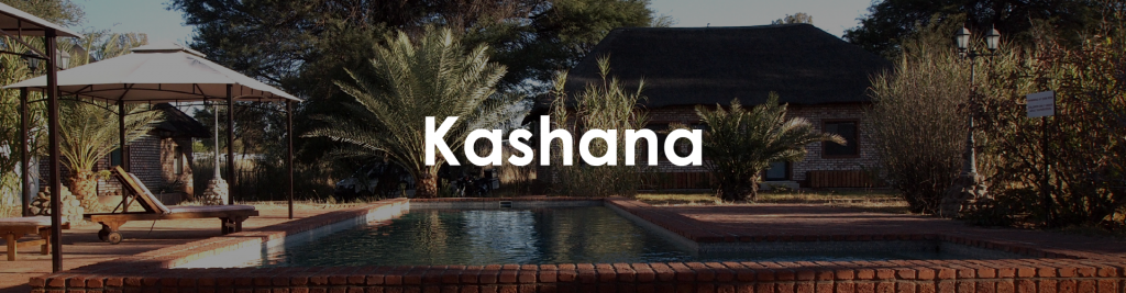 Kashana - The-Portfolio